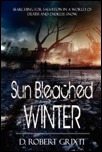 Sun Bleached Winter Book Cover