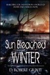 Sun Bleached Winter Book Cover